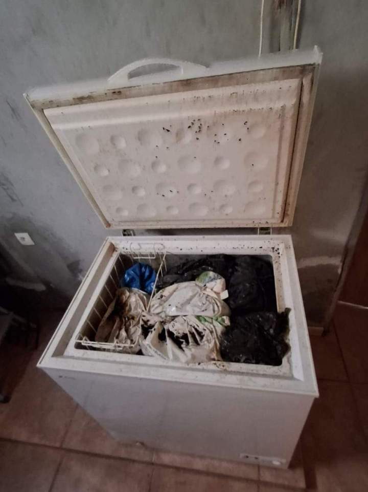 bd06f31f 7d79 4ad9 a65f acd19a3cfb55